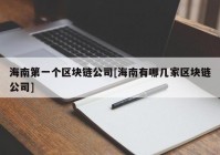 海南第一个区块链公司[海南有哪几家区块链公司]